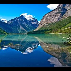 Meet your Posher, Sophia